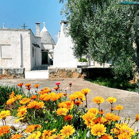 Maison Milleottocento ชิสแตร์นีโน ภายนอก รูปภาพ