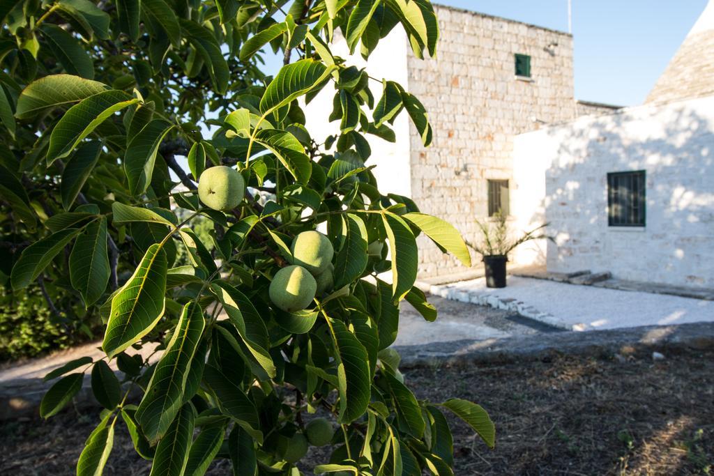 Maison Milleottocento ชิสแตร์นีโน ภายนอก รูปภาพ